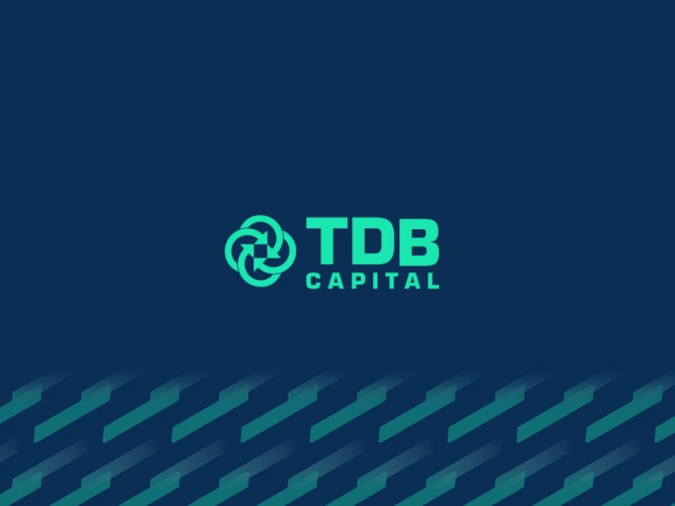 TDB Capital – Brand Development